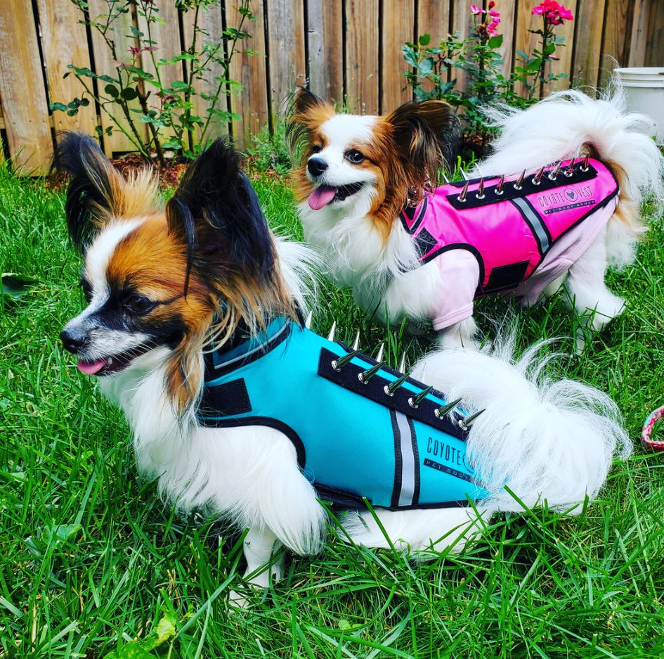 Body Armor