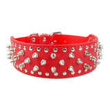 Studded Collar For Big Dogs