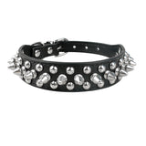 Studded Collar