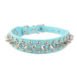 Studded Collar