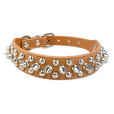 Studded Collar