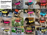 CoyoteVest