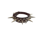 Spiked Collar