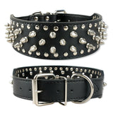 Studded Collar For Big Dogs