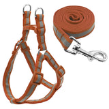 Harness & Leash Set