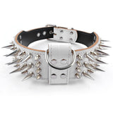 Spiked Collar for Big Dogs