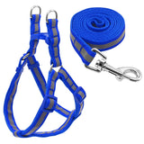 Harness & Leash Set