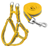 Harness & Leash Set