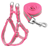 Harness & Leash Set