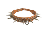 Spiked Collar