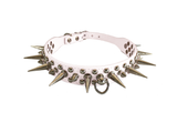 Spiked Collar