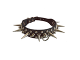 Spiked Collar