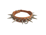 Spiked Collar