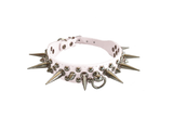 Spiked Collar