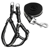 Harness & Leash Set