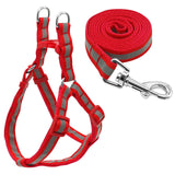 Harness & Leash Set