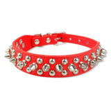 Studded Collar