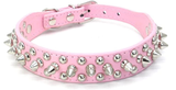 Studded Collar